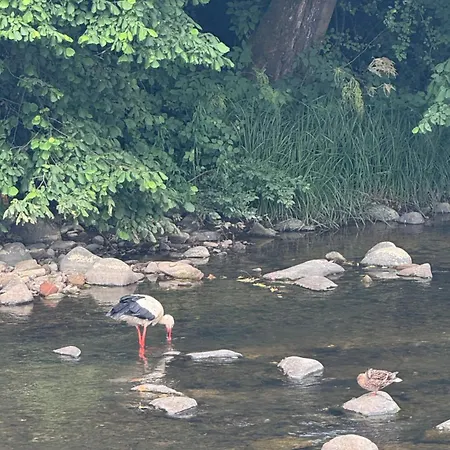 унікальні двокімнатні класу люкс * סולוצ'ין