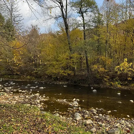 דירה унікальні двокімнатні класу люкс *